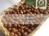 Hazelnut kernels