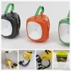 Solar Lantern Light