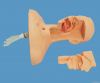 Medical Suction Training Manikin