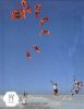 SPECTRA.UHMPE KITE SURFING LINE,KITE ROPE,SOFTWARE LITE LINE