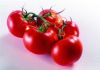 tomato sauce