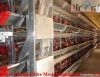 battery cage automatic...