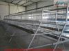 battery cage automatic...