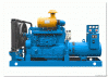 SQS Diesel Generator S...