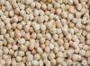 chickpeas suppliers,ch...