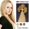 low price wholesale 100% human hair extension u-tip hair extension