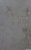 Apadana Marble