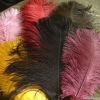 OSTRICH FEATHERS