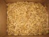 walnut kernel