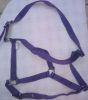 PP Horse Halters Black, size pony cob,full