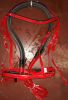 Genuine imported PVC horse riding bridle with rust proof steel fittings Red