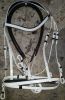 Genuine imported PVC horse riding bridle with rust proof steel fittings Red