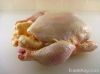 Frozen Halal Whole Chicken