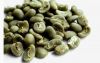 Export Arabica Coffee ...