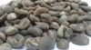 Export Arabica Coffee ...