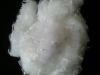  polyester staple fibre PSF