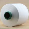 Polyester yan DTY 300D/96F