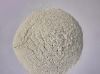Activated bleaching ea...