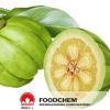 100% Organic Garcinia Cambogia Extract Powder