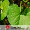 Pure Natural Centella Asiatica Leaf Extract