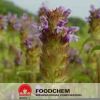 Peanut Shell Extract L...