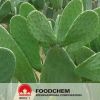 Natural Cactus Powder Extract 10:1