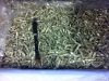 Dried Anchovy / Sprats