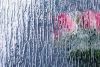 Light Rain Flower