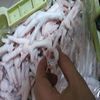 Frozen Chicken Feet