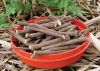 Licorice root