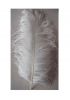 Natural Grey Ostrich Feather