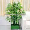 fake Bamboo tree/natur...