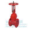 BS5163 cast iron gate valve