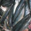 Frozen Mackerel Fillet...