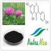 Red Clover Extract 20% Isoflavones