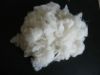 Sheep Wool