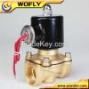 brass 220V 24VAC water...