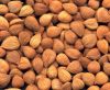 Sweet Apricot Kernels