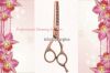 Manicure instruments