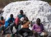 raw cotton importers,r...