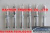 Common Rail Injector V...