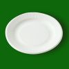  sugarcane pulp plate
