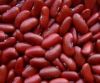 Dark red kidney bean