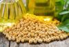 Soybean oil For Sale