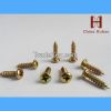 Self Tapping Screw