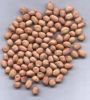 GROUNDNUT KERNEL, PEANUTS