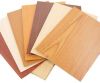 mdf  plywood for building/marine plywood