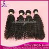 Seditty Hair Product Brazilian Virgin Hair deep curly,100%Unprocessed Virgin Hair extensions ,Human hair weft,hair weaving cheap price