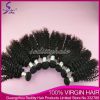 Seditty Hair Product Brazilian Virgin Hair deep curly,100%Unprocessed Virgin Hair extensions ,Human hair weft,hair weaving cheap price