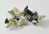 Dried Black Fungus Dry...